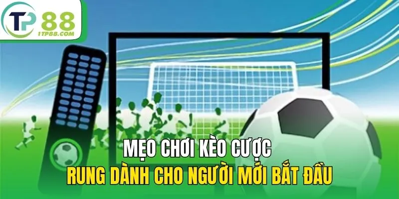 Mẹo chơi kèo cược rung dành cho người mới bắt đầu